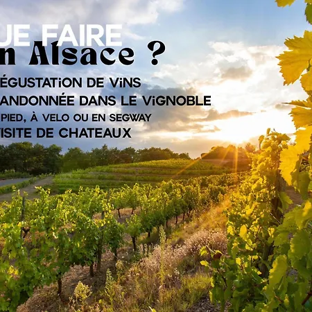 Apartman Les De Georgia