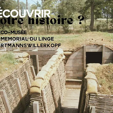 Les De Georgia Apartman Voegtlinshoffen